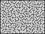 202536յԹϷ