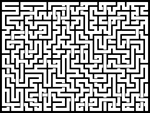 202537յԹϷ