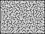 202555յԹϷ