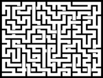 2025811յԹϷ