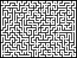 2025829յԹϷ
