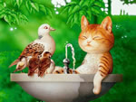 村松诚 猫 洗澡的拼图游戏