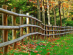 秋的篱笆的拼图游戏