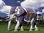 windowsXP ƴͼϷ