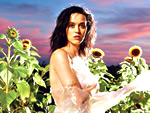 Katy PerryƴͼϷ