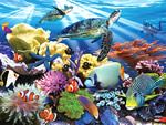 海洋动物的拼图游戏