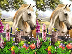 ҲϷ